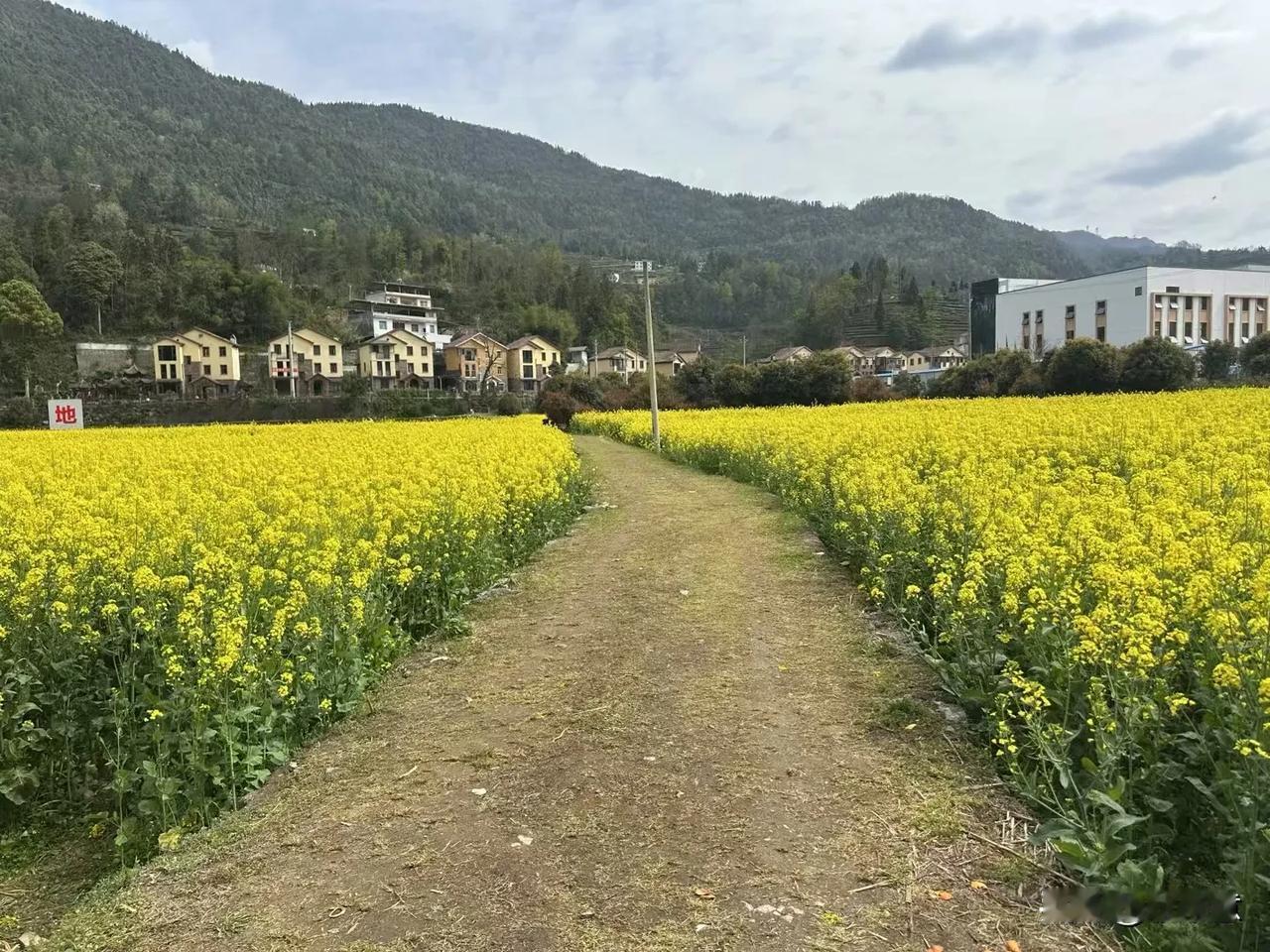 前三十年的发展阶段:新民主主义的过渡期，社会主义制度的建立

建国前三十年的伟大