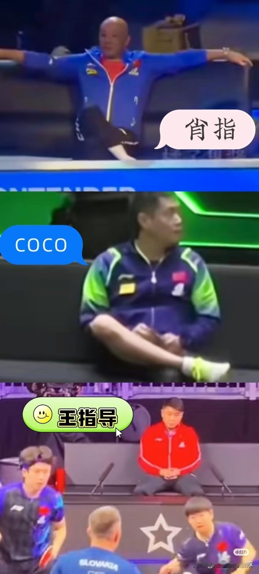 果然没有对比就没有笑点！看看肖指导的大佬坐姿，再看CoCo的惬意二郎腿。

现在