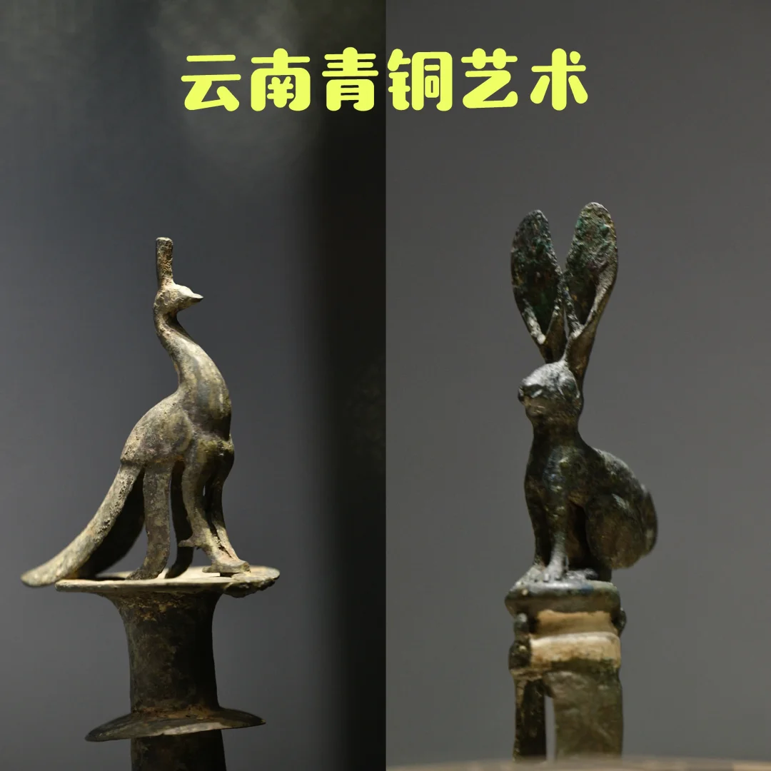 看完这些青铜小可爱后，想去云南了