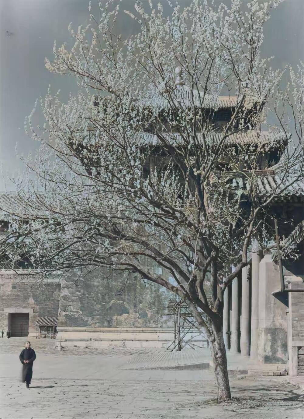 历史知识1933年，紫禁城，古朴大气稍显破败 ​​​