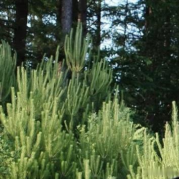 每日一善、阳光信用勿以善小而不为，这不仅是一句古训，更是一种生活态度。善行不分大