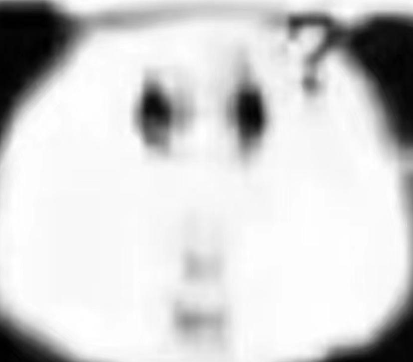 这对吗？补办身份证不都是要本人到场的吗