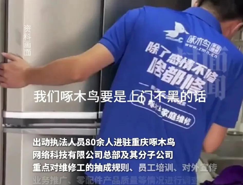 我们啄木鸟上门不黑怎么挣钱呢？
于是一年又一年，啄木鸟在乱收费的路上一直作死！