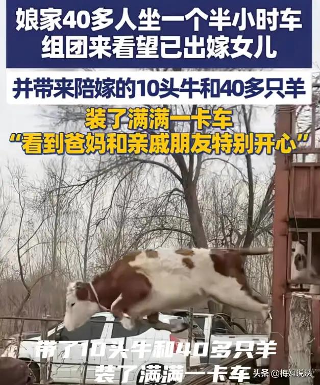 内蒙古赤峰，一女子刚嫁人没多久，娘家那叫一个豪横！直接组了40多人的家人团，坐车