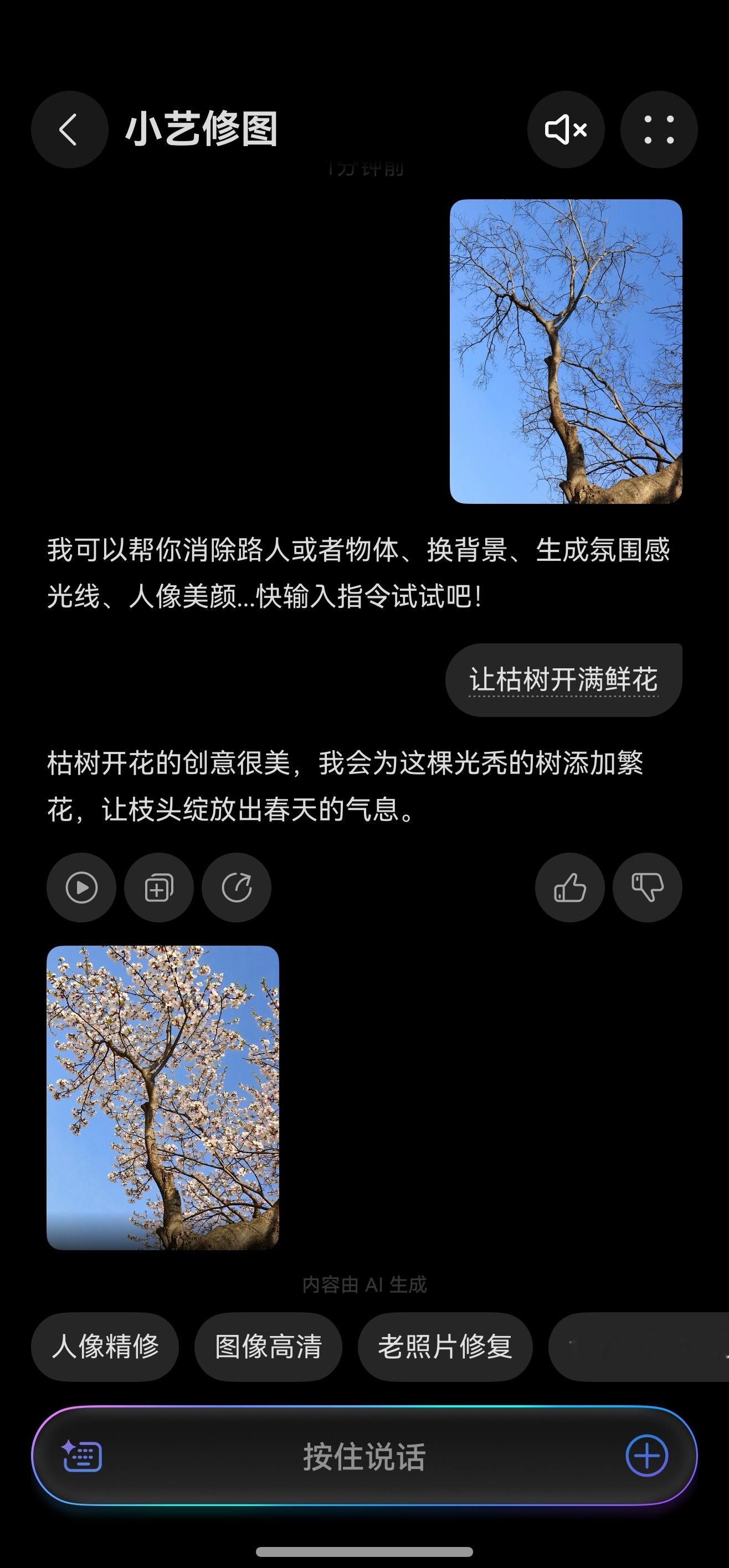 小艺的枯木逢春