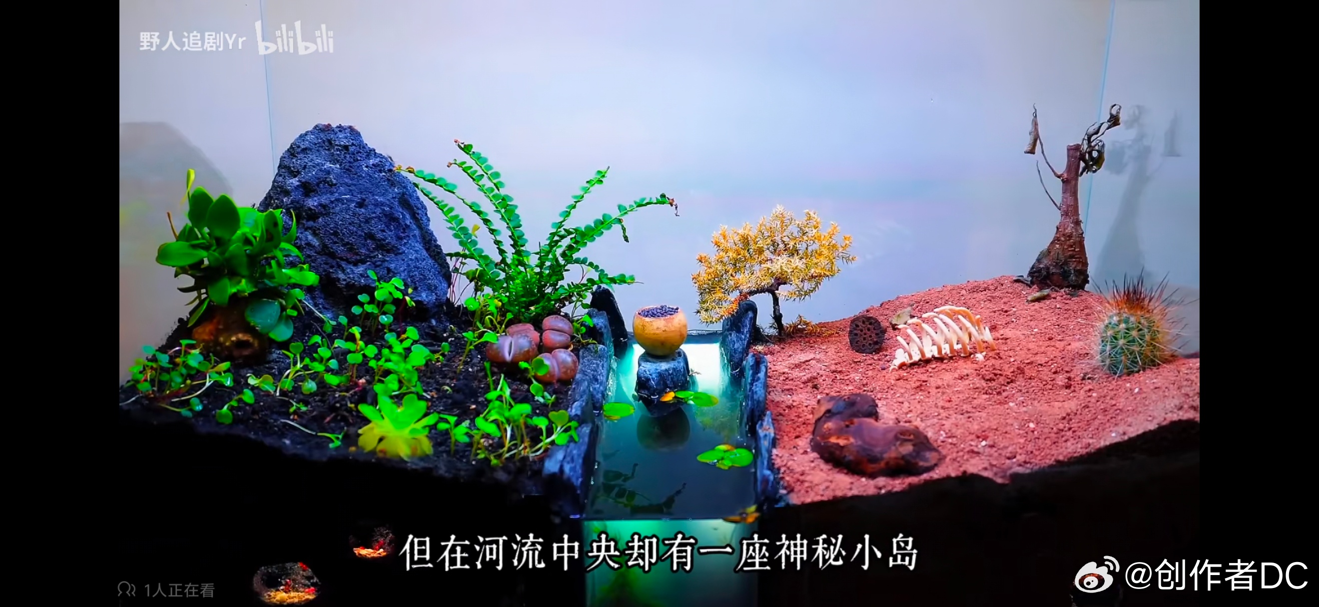 看了一套微型实验的片子，太特么好看了！建造一个小生态系统，放一堆蚂蚁进去，然后给