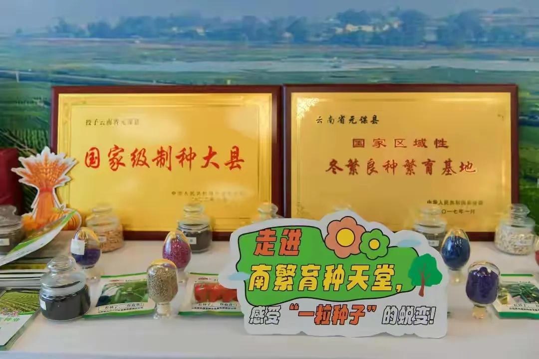 一组数据看“中国饭碗”有多稳
 
“十四五”时期，我国粮食安全保障成效显著，多组