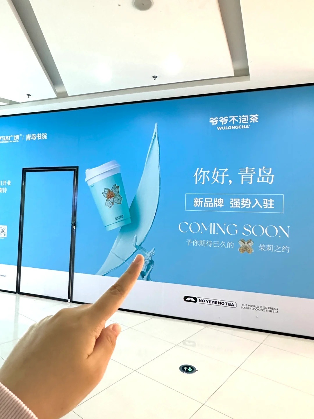 青岛！！终于有了！！听劝！！