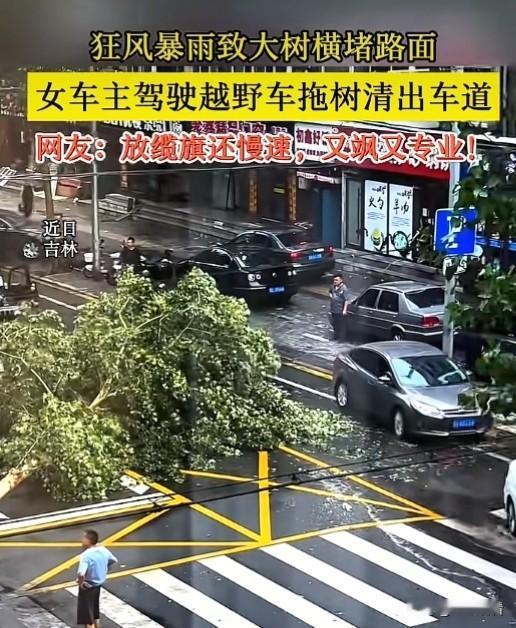 近日吉林一场狂风暴雨破坏力属实惊人，大树直接拦腰折断横在马路中间堵死通道，关键时