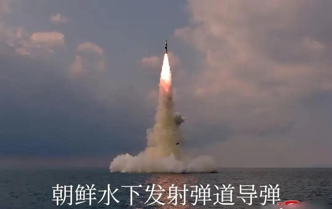 俄朝军事结盟，使朝鲜的安全环境，大为改善。朝鲜派兵赴俄参战，开启了亚洲国家征战欧