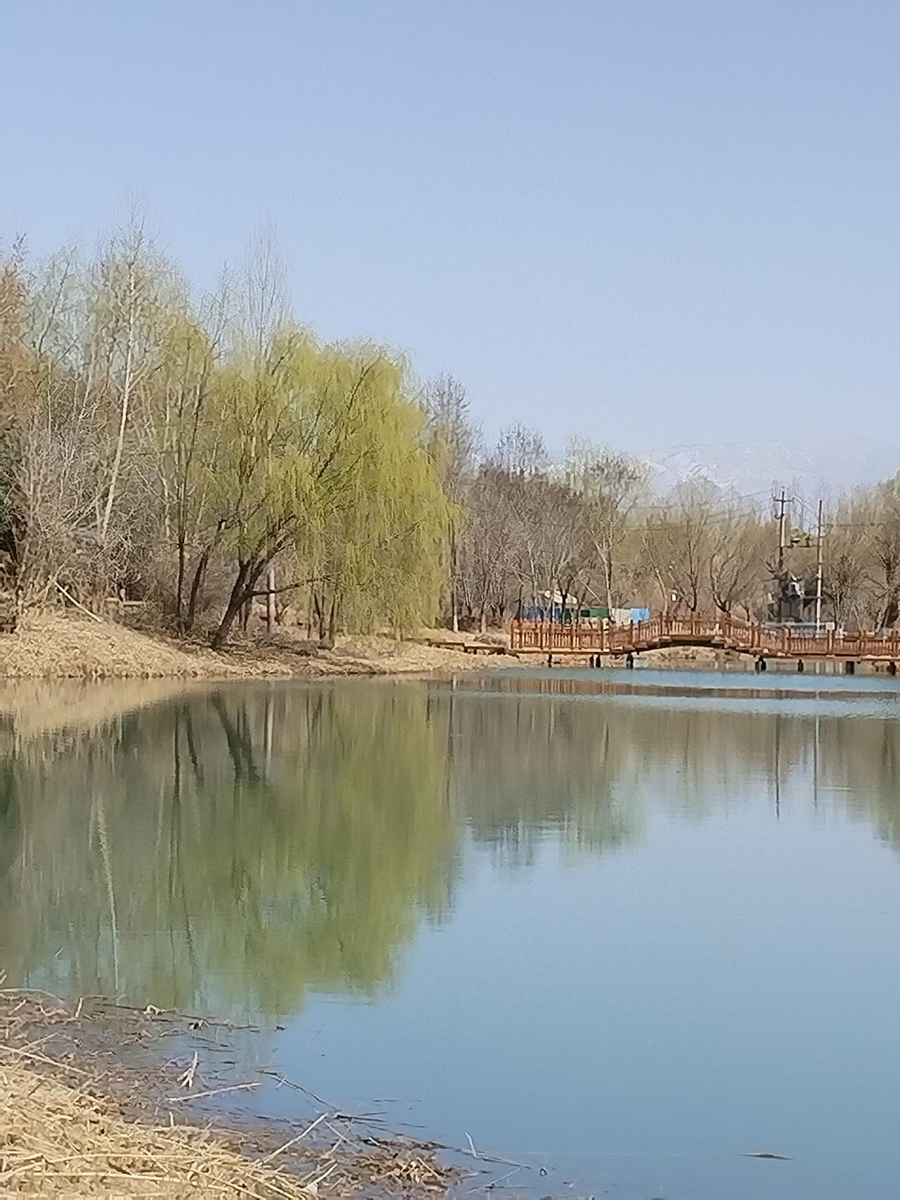 人这一生，纷扰本是常态，烦恼多是自寻。心若不静，处处皆是喧嚣；心若自清，万事皆可