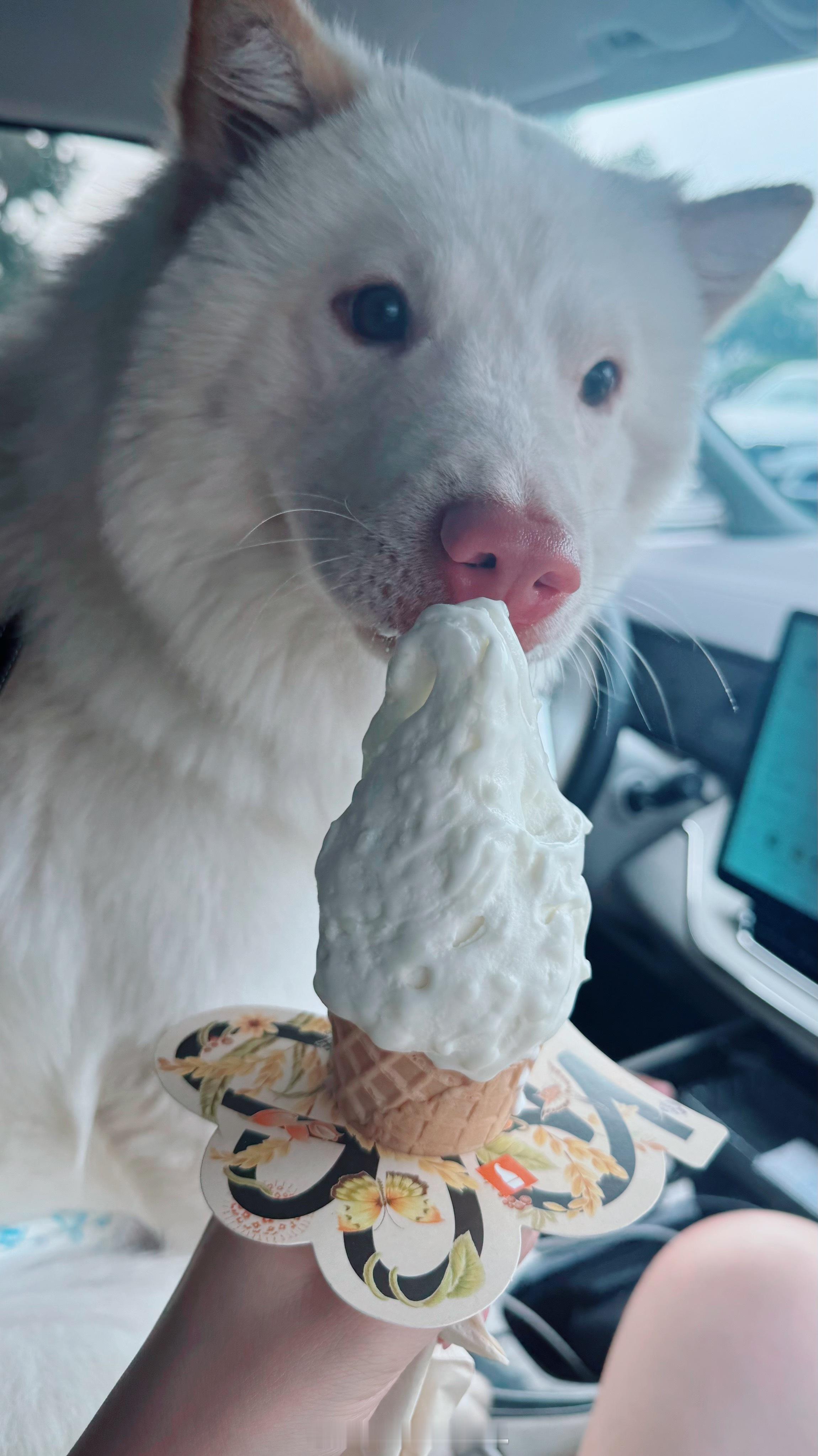 不想要盛夏走呀