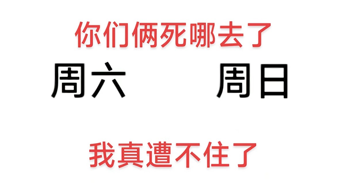 你俩死哪去了？ ​​​