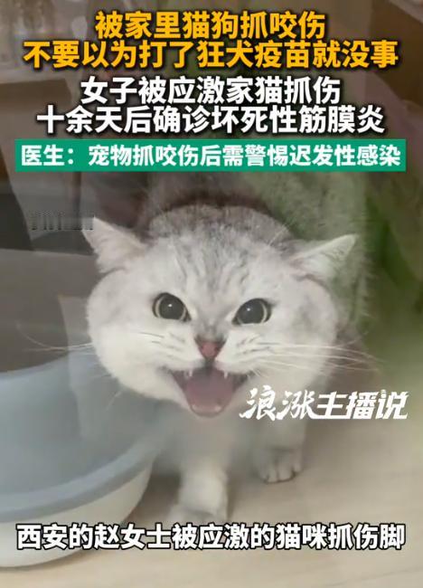 8月7日，陕西西安曝出一起极具警示性的宠物抓伤意外。
 
一名女子被自家猫咪抓伤