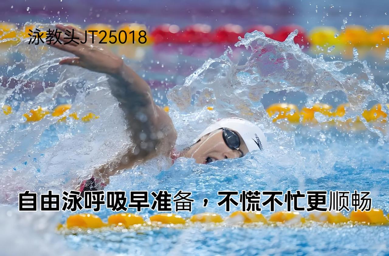 泳教头 | 泳讲堂：自由泳呼吸早准备，不慌不忙更顺畅
很多泳友游自由泳时，总被呼