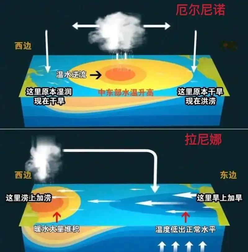 全球大饥荒要来了？咖啡暴涨近 40%、可可涨超 180%、鱼粉价格一年翻一倍 —