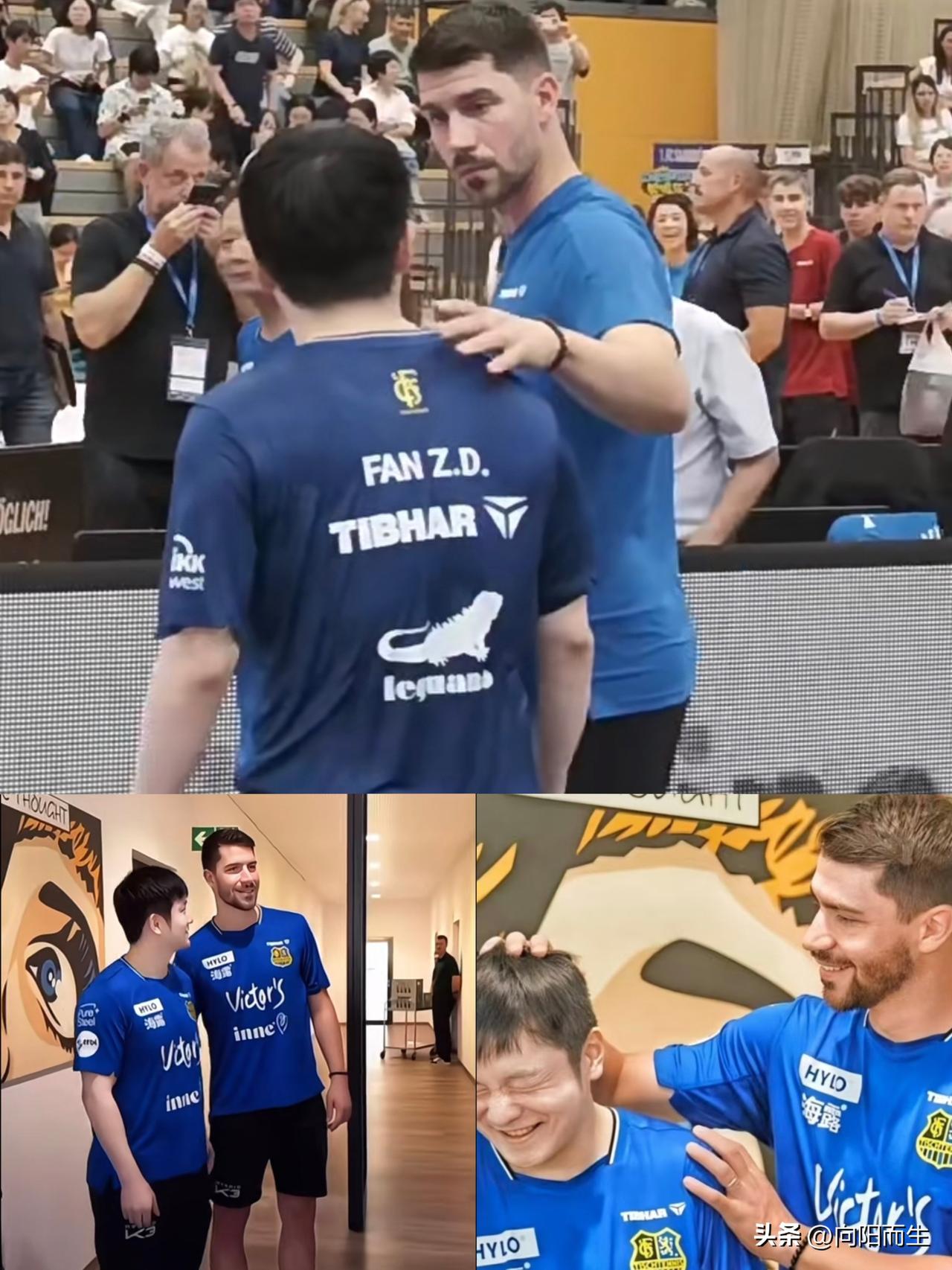 德国名将弗朗西斯卡最近一句话火了：没有一个天才是天生的，
这话他专门说给樊振东听