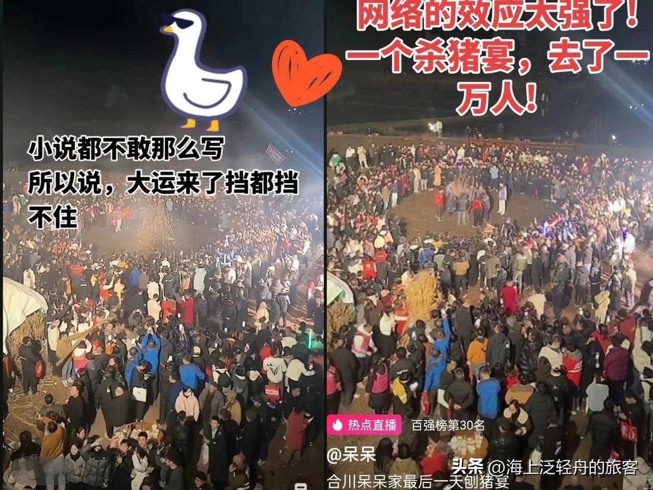 有预感，

呆呆家的年怕是过不好了，

细心的人肯定已经发现，3天前呆呆粉丝才几