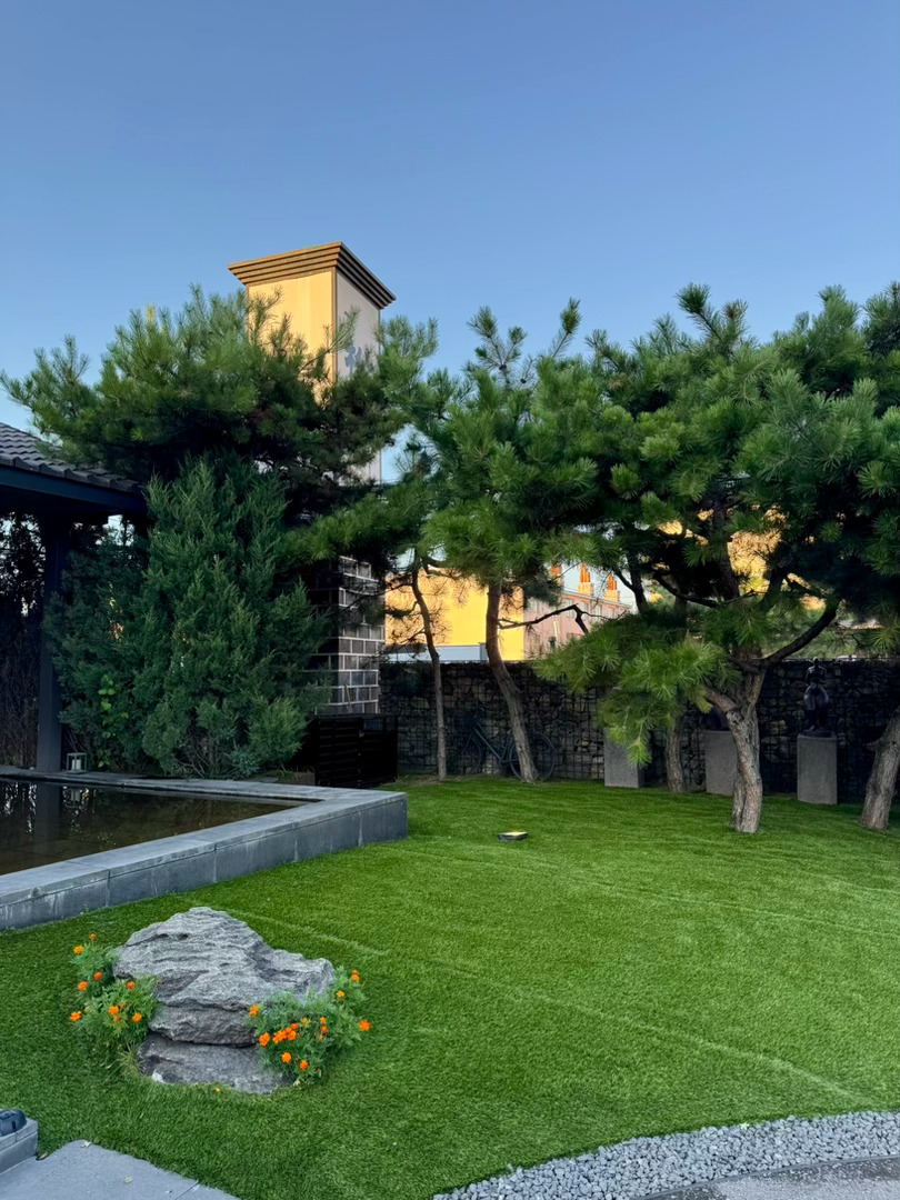 李老师拍照技术一流 