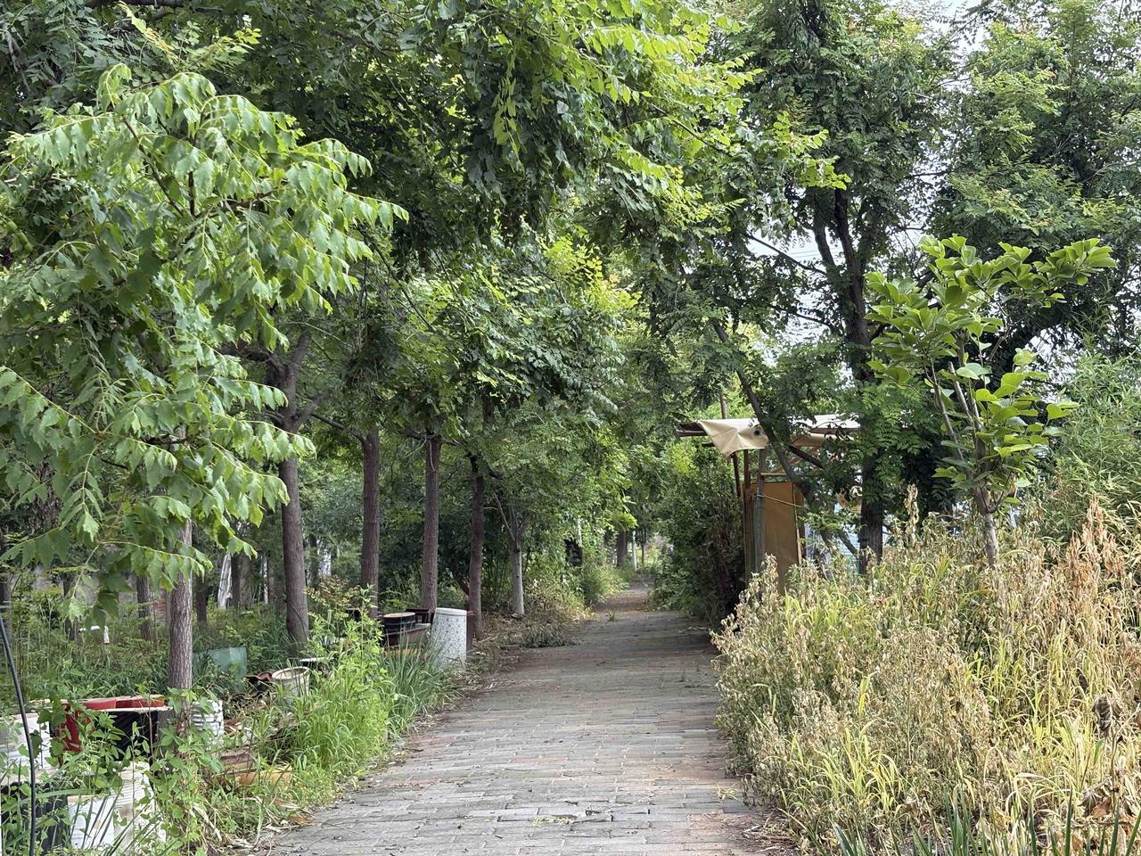 【光阴的故事】迁坟
父亲告诉我，我们家的祖坟原不在漷县村。最早是在西边一个小村子
