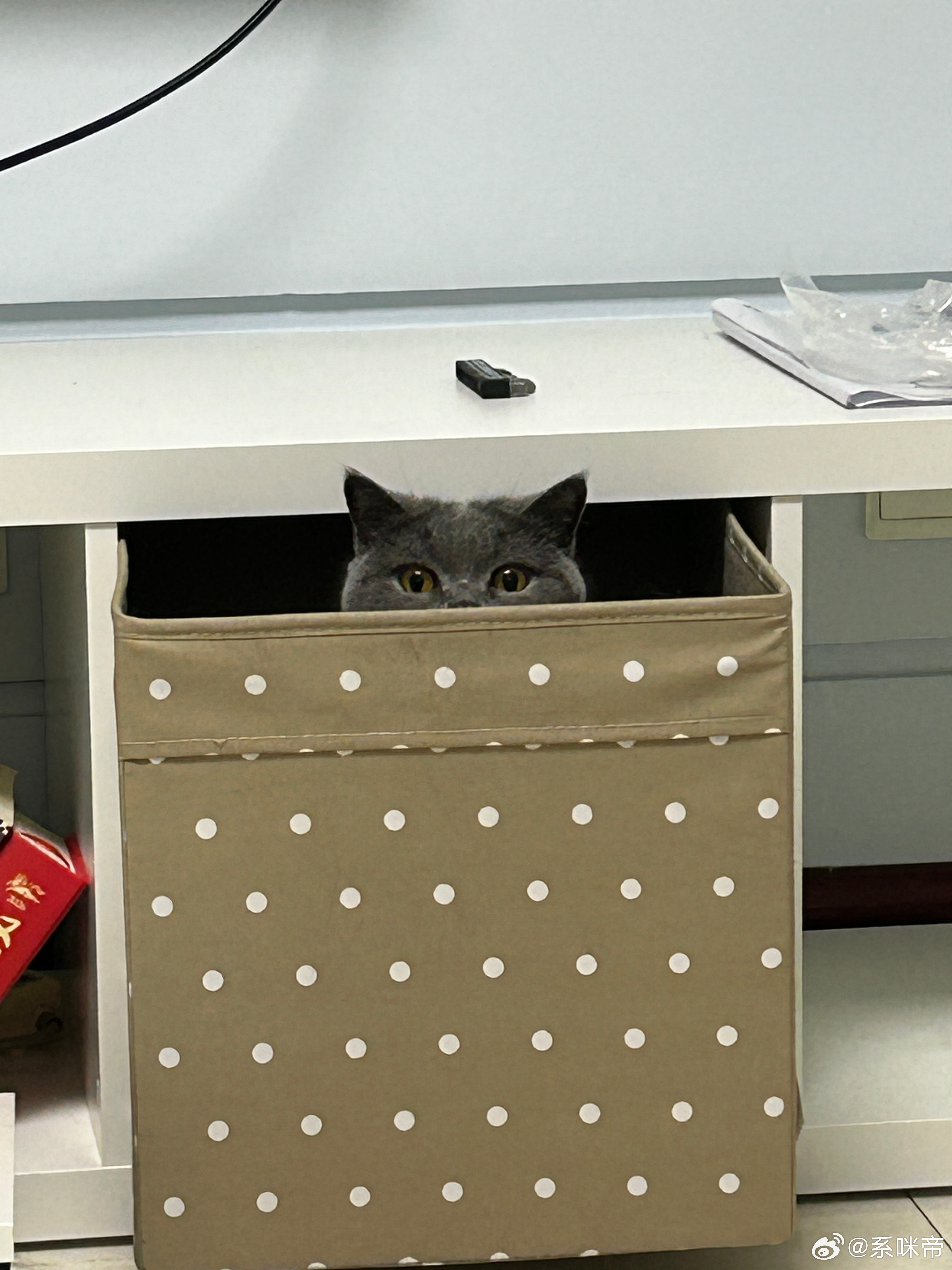 又在躲猫猫
