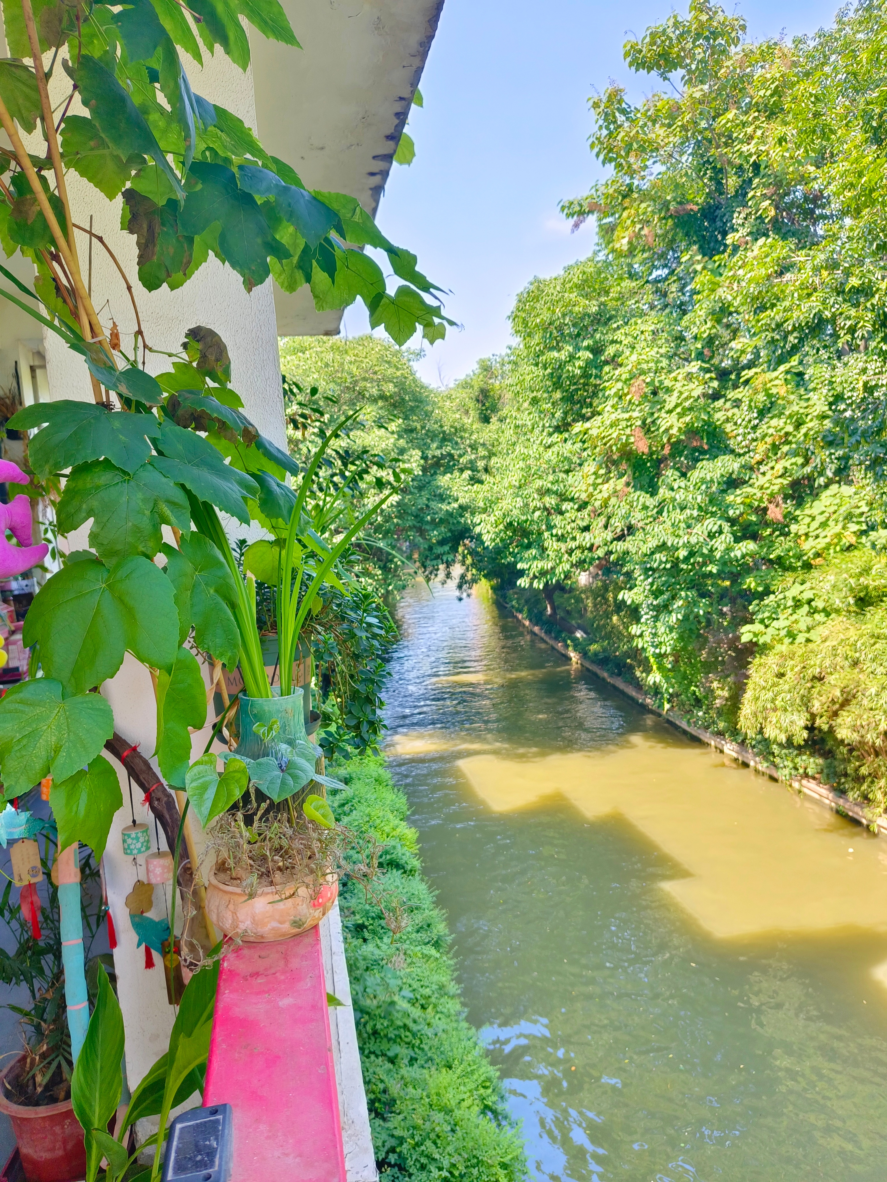 《金陵旧梦》每次来南京，我都喜欢住在秦淮河边上。说起这条河，很多人都好奇它名字的