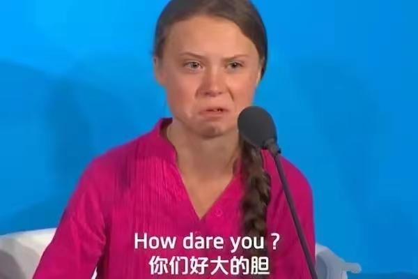装聋作哑的环保少女

一度被2019年美国《时代周刊》评为年度人物的瑞典环保少女