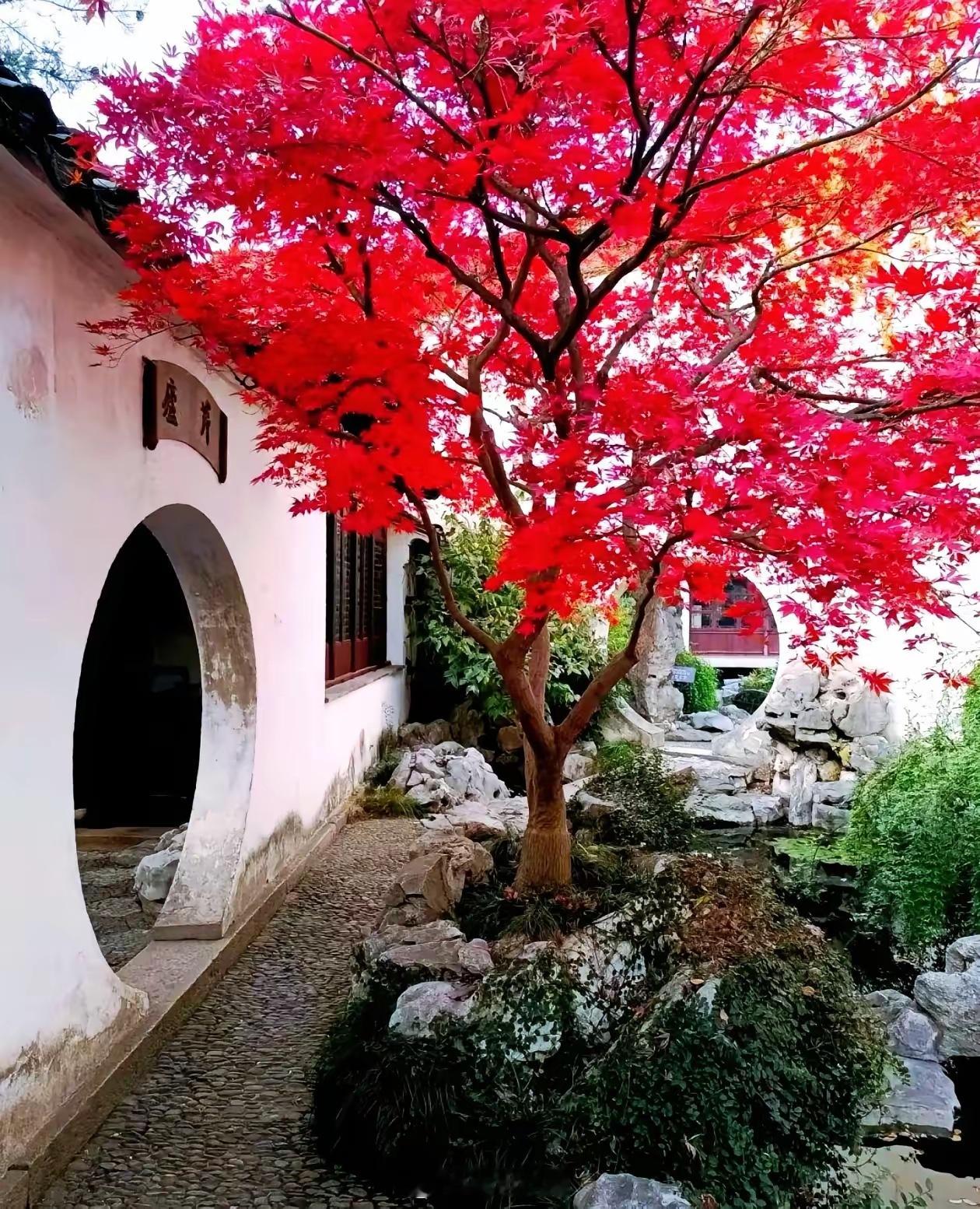 真正的投资者必须跨越股价这道坎许多投资者难以跨越股价这道坎。正如巴菲特所说，市场