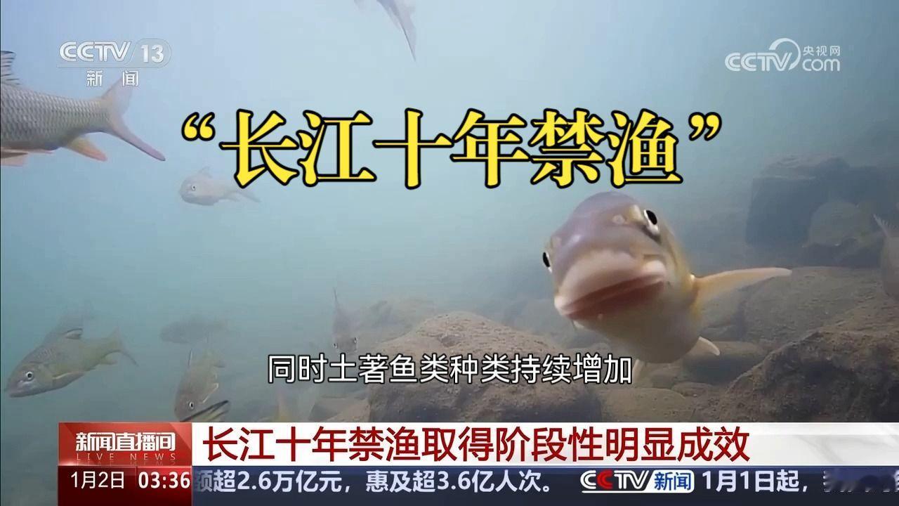 全民期待长江十年禁渔修复水域生态，盼着江豚逐浪、鱼虾成群的生态盛景重现，可谁也没