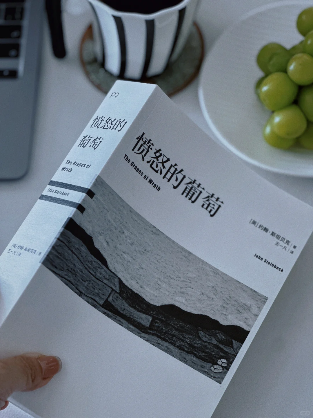 史诗般巨作！沉浸阅读的震撼！