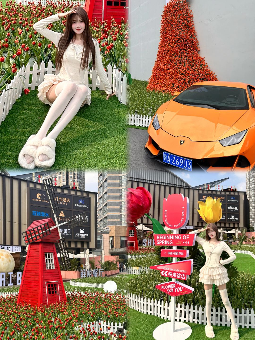 春天·与郁金香的浪漫邂逅🌷