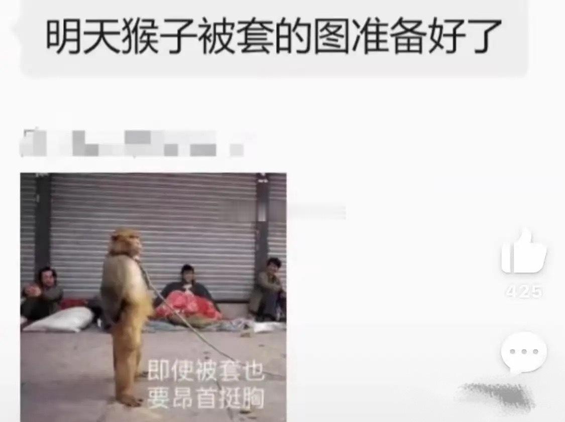 全网最完整「猴模块」炒作体系！猴子 = 存储CXO = 光模块MNC = CSP
