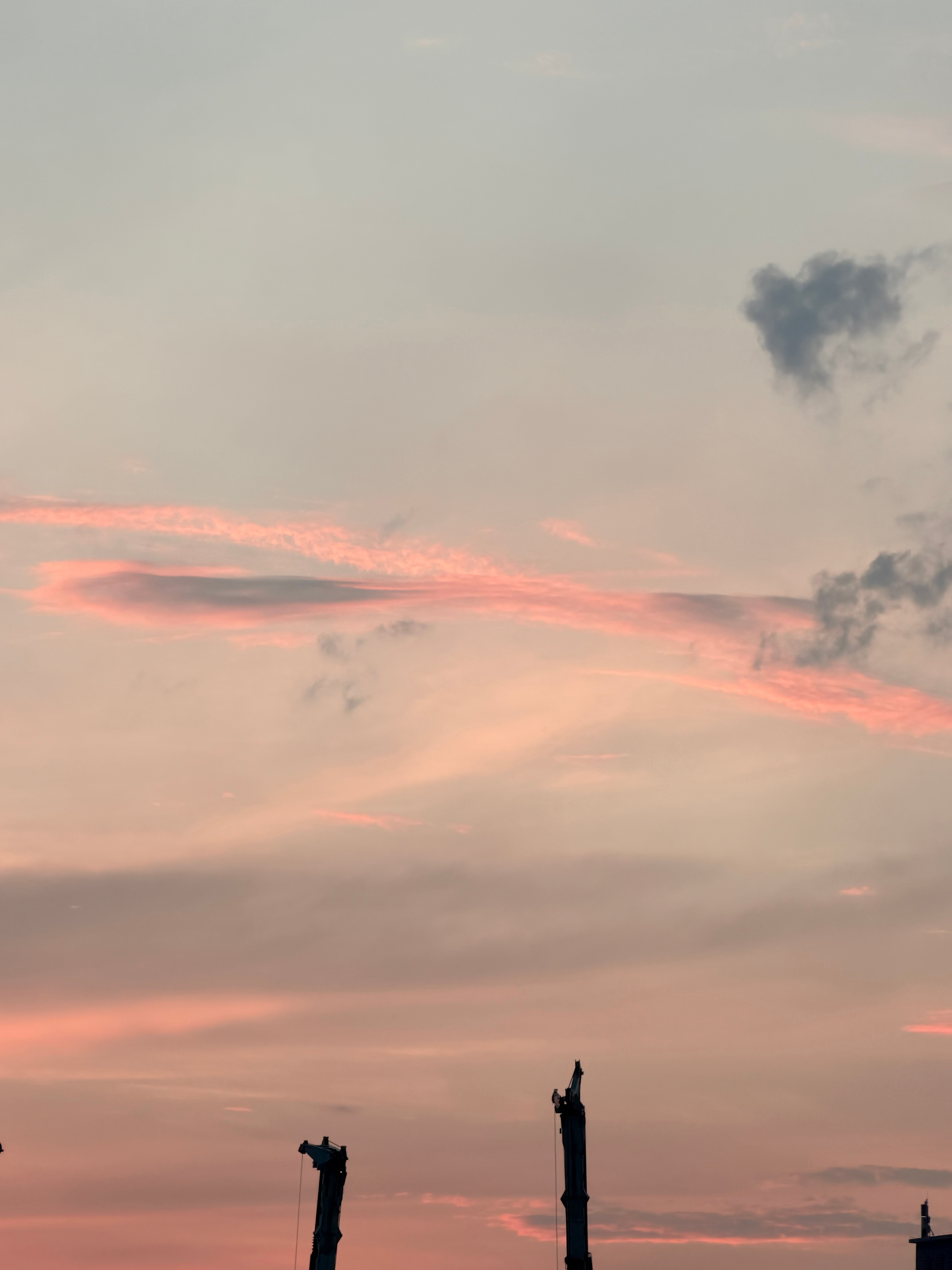 🌆 