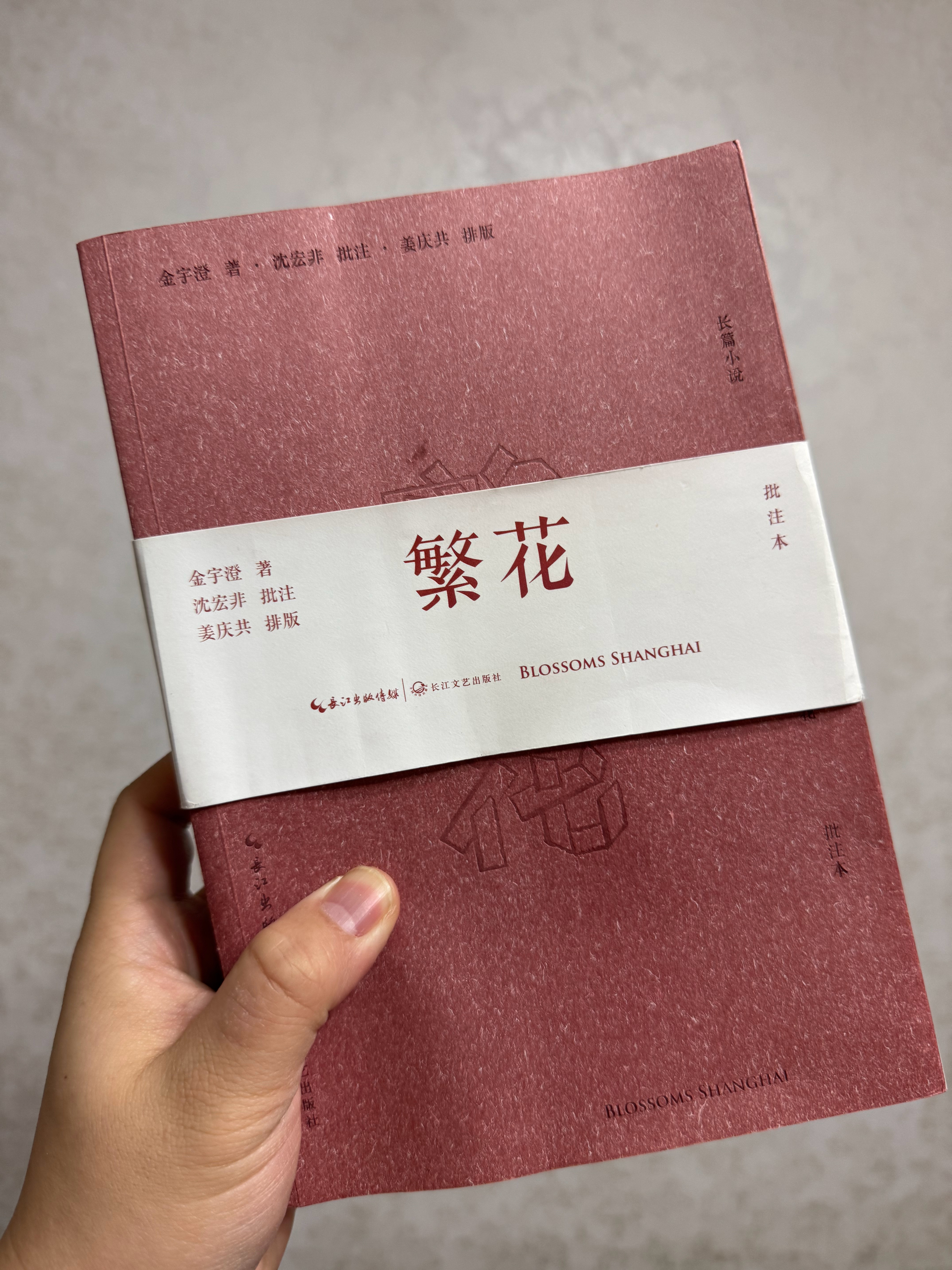 用了半年，可算把繁花看完了，真是和电视剧一毛都不一样，不说毫无关系吧，至少也是不