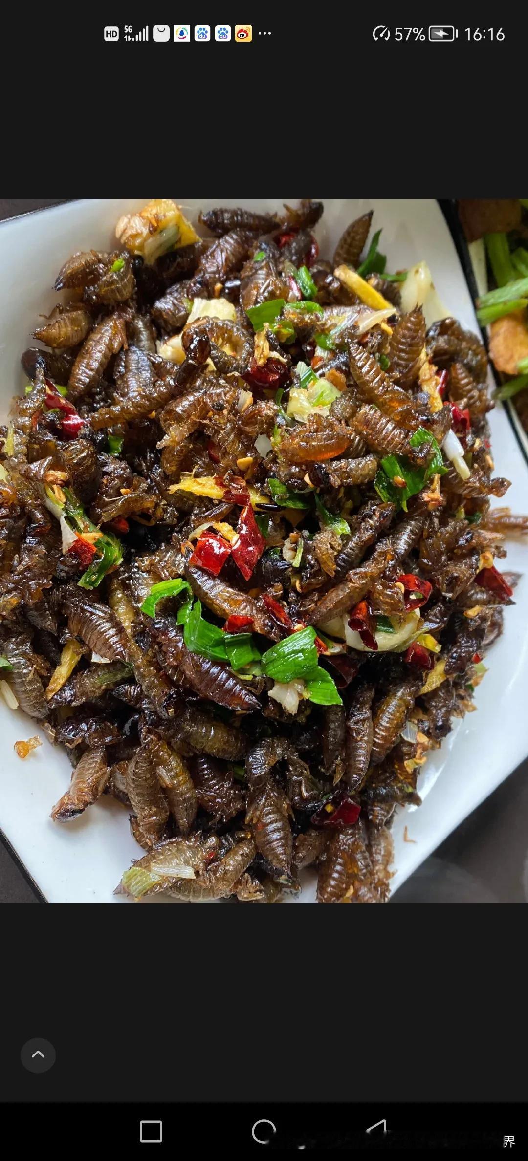 湖南省湘西山区当地老百姓的“暗黑”美食“桃花虫”。“桃花虫”无毒，生活在水质干净