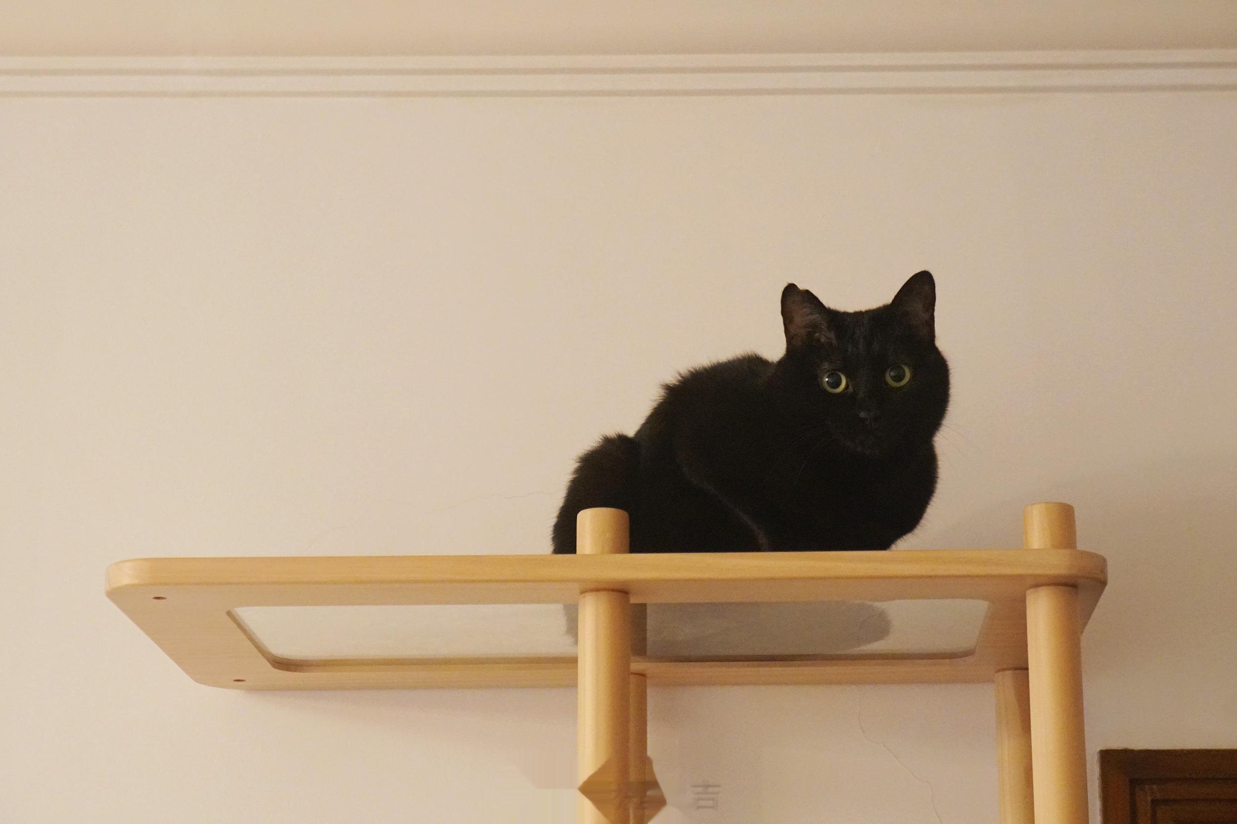 星期三，下了場暴雨～大家記得好好吃飯哦！#蝦蝦不可以太可愛# ​​​