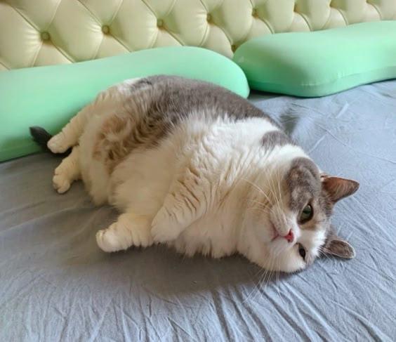 相册 