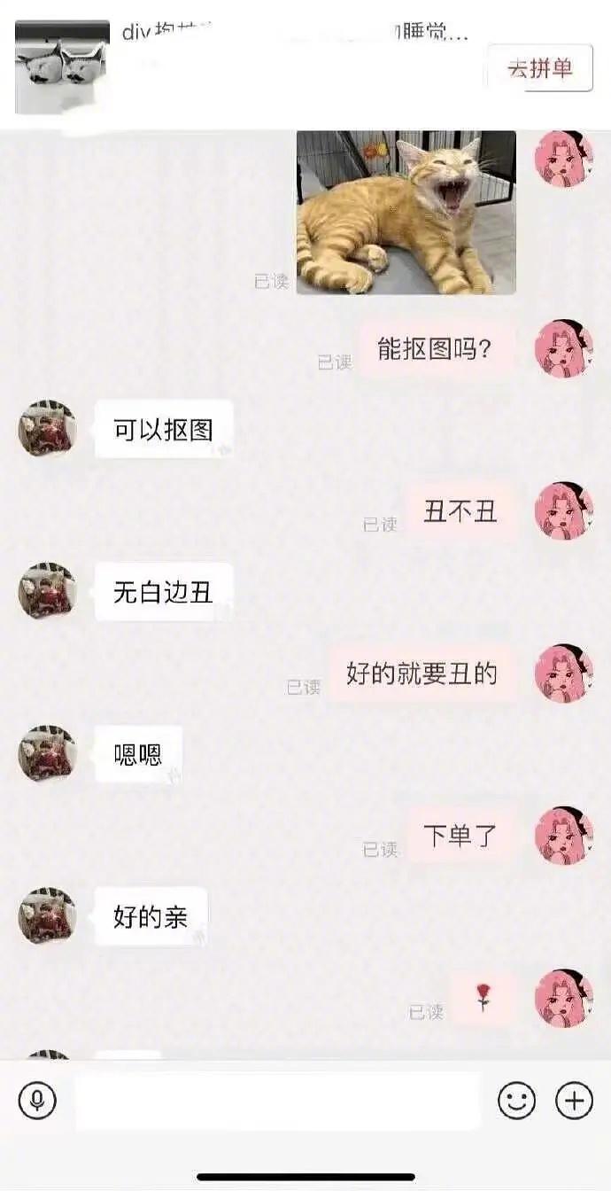 给猫咪的定制抱枕哈哈哈哈哈 ​​​