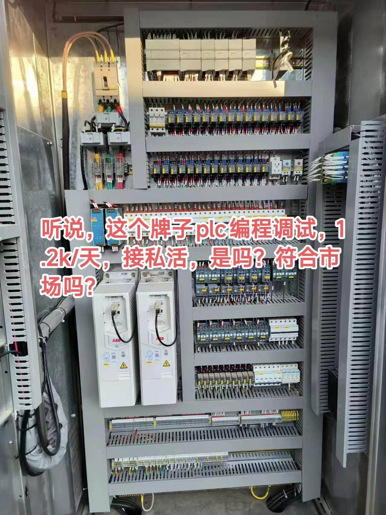 听说，这个牌子plc编程调试，1.2k/天，接私活，是吗？符合市场吗？电气自动化