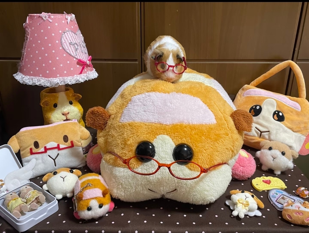 敷敷 