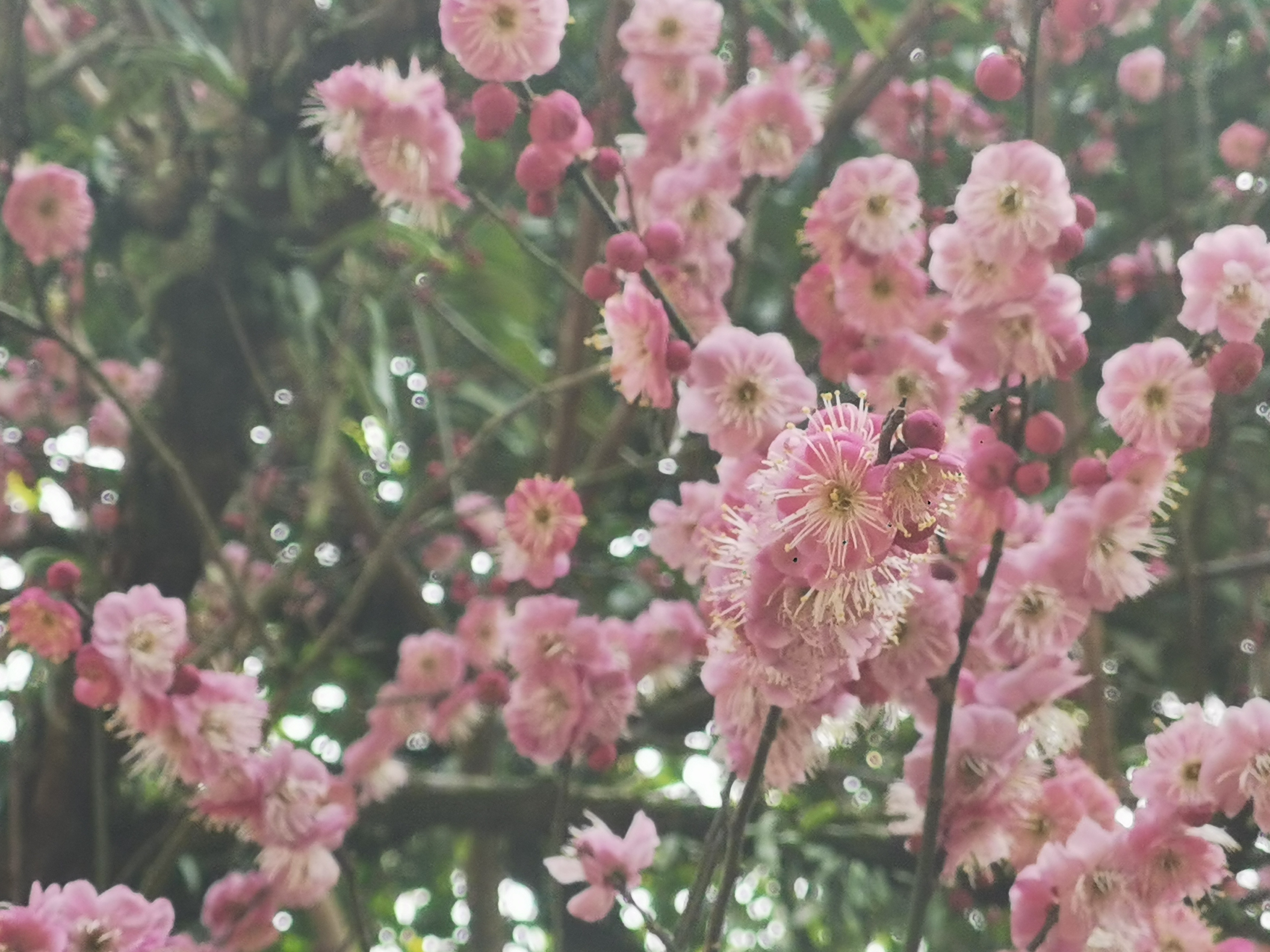 生活手记 ​​​