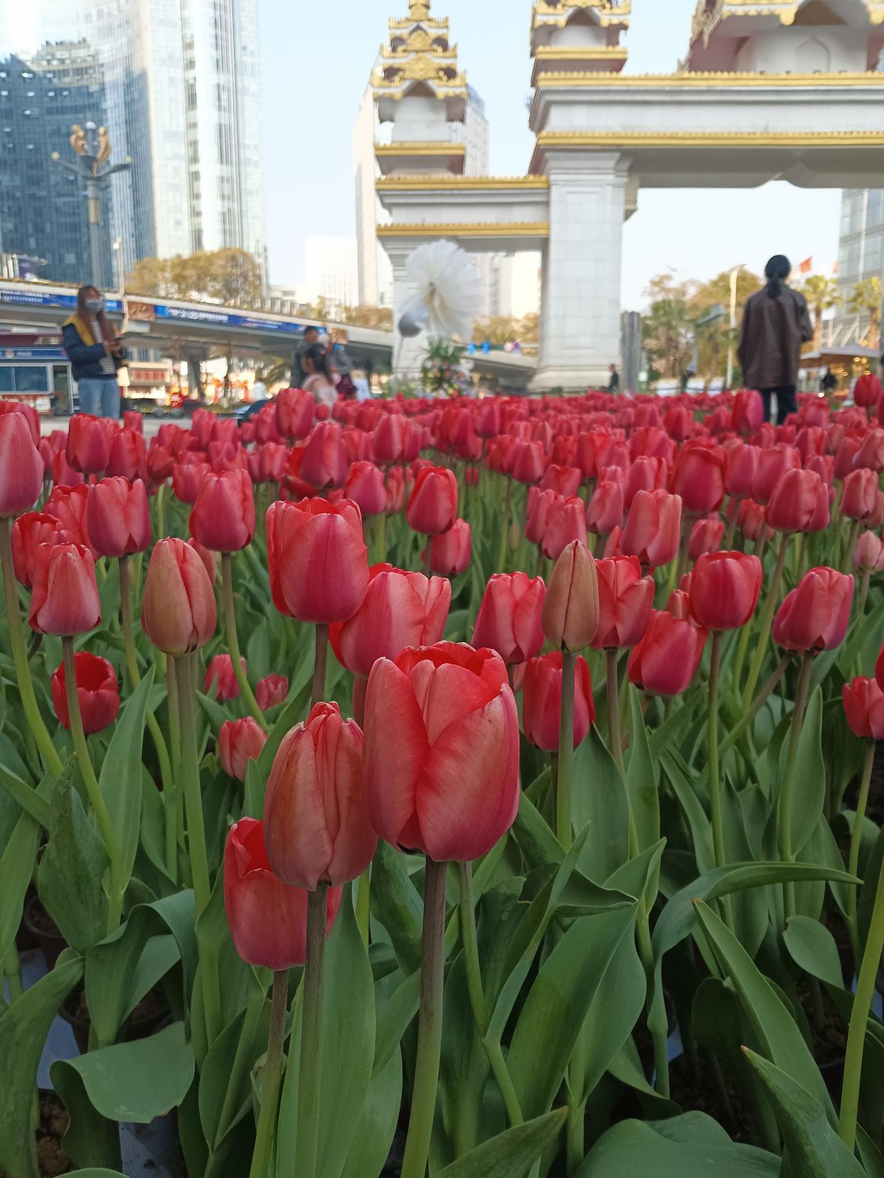 周四看盘重点探讨？
回看周三大A，三大指数探底回升，走势有所分化，创指领涨，涨幅