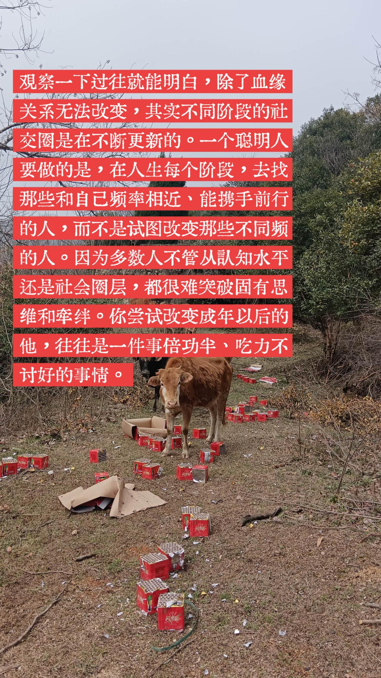 人的圈子。除了血缘关系无法改变，聪明人总能不断寻找同频率的人，携手共进，无限进步