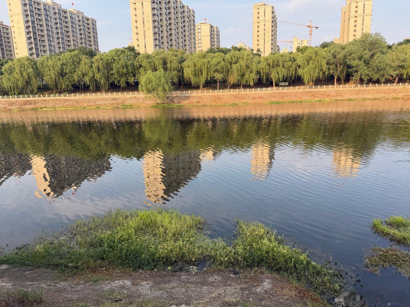 家里人吵架之我出来躲清静，但是我鸭货吃的闹肚子咋办我真服了