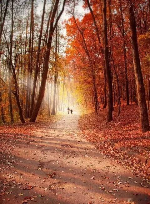 你信不信

现在的人活的太累！太压抑！很多人甚至都有轻生念头！

下辈子还来不来