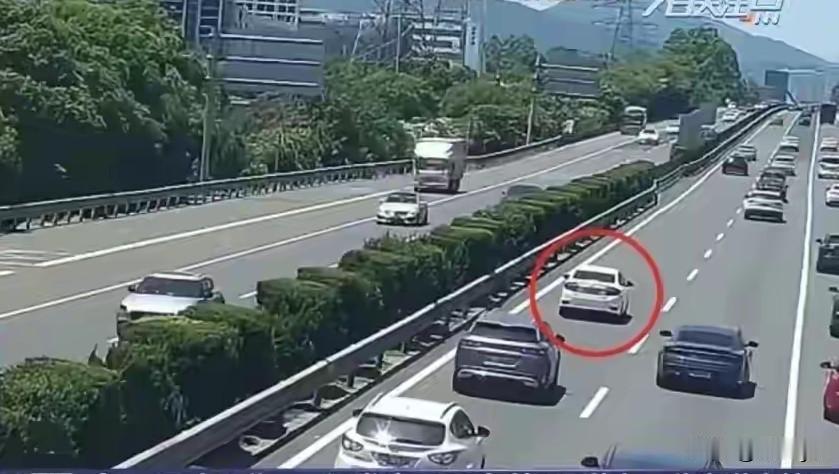 女子上高速“龟速”行驶，违法被处罚。近日，浙江温州交警在路面视频里发现一辆小车的