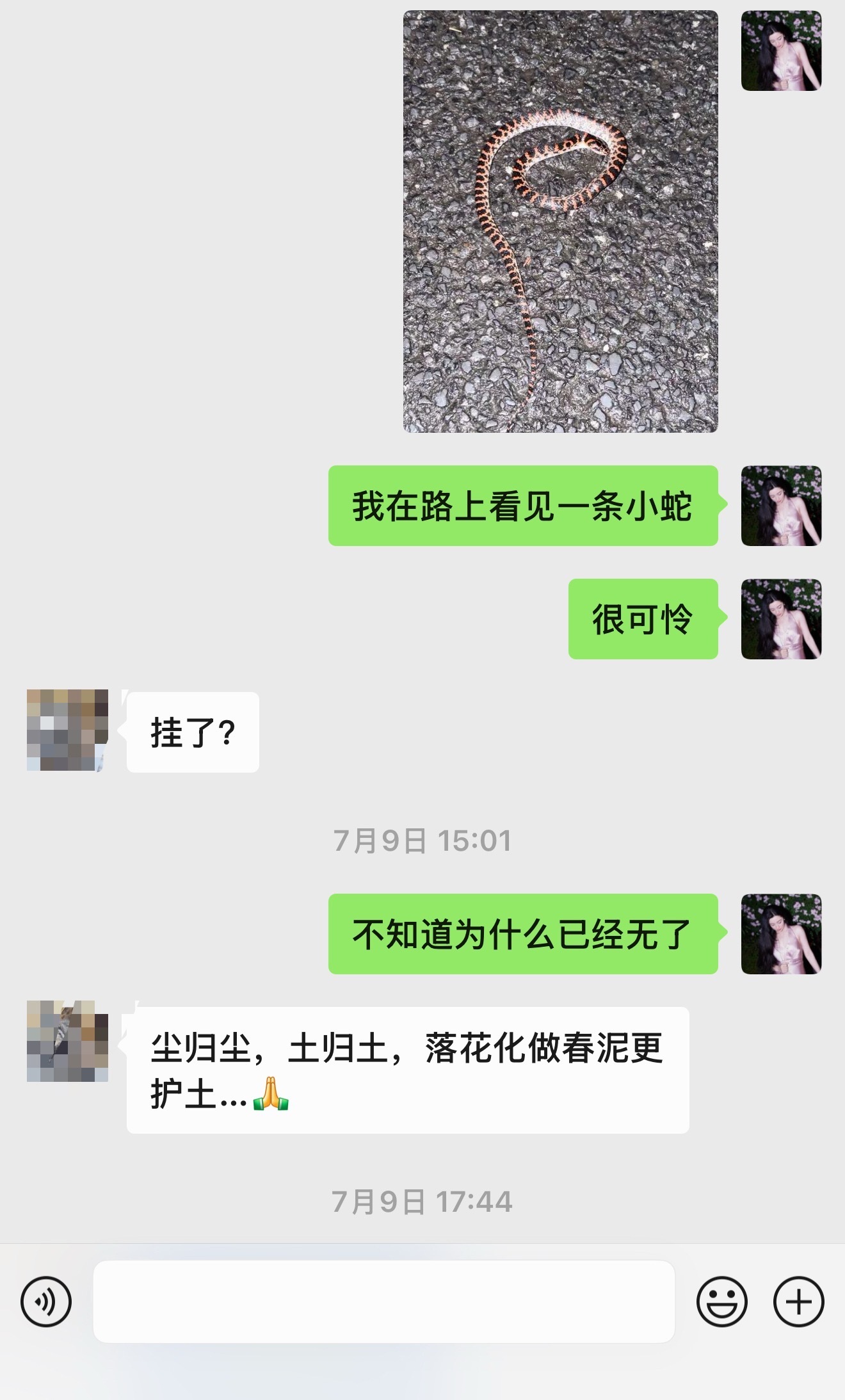 不知道是不是现在生态变好了，在小区里散步遛狗三天两头遇见蛇。有时候在草丛里一闪而