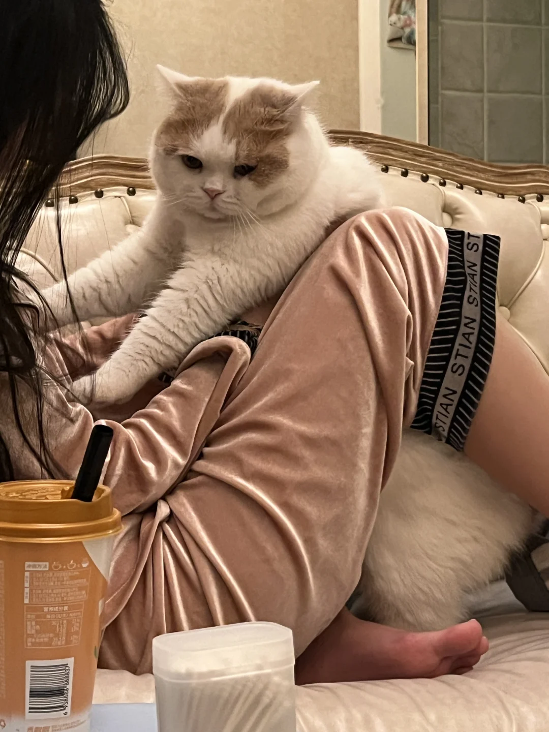 小猫 你有什么心事