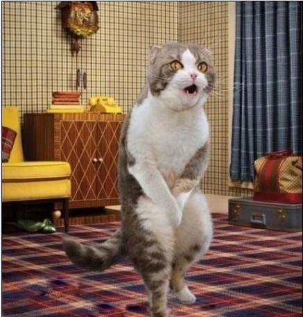 #老外跪求中国版Sora资格留言求求你了# 能根据需求生成视频，感觉比文字版更加