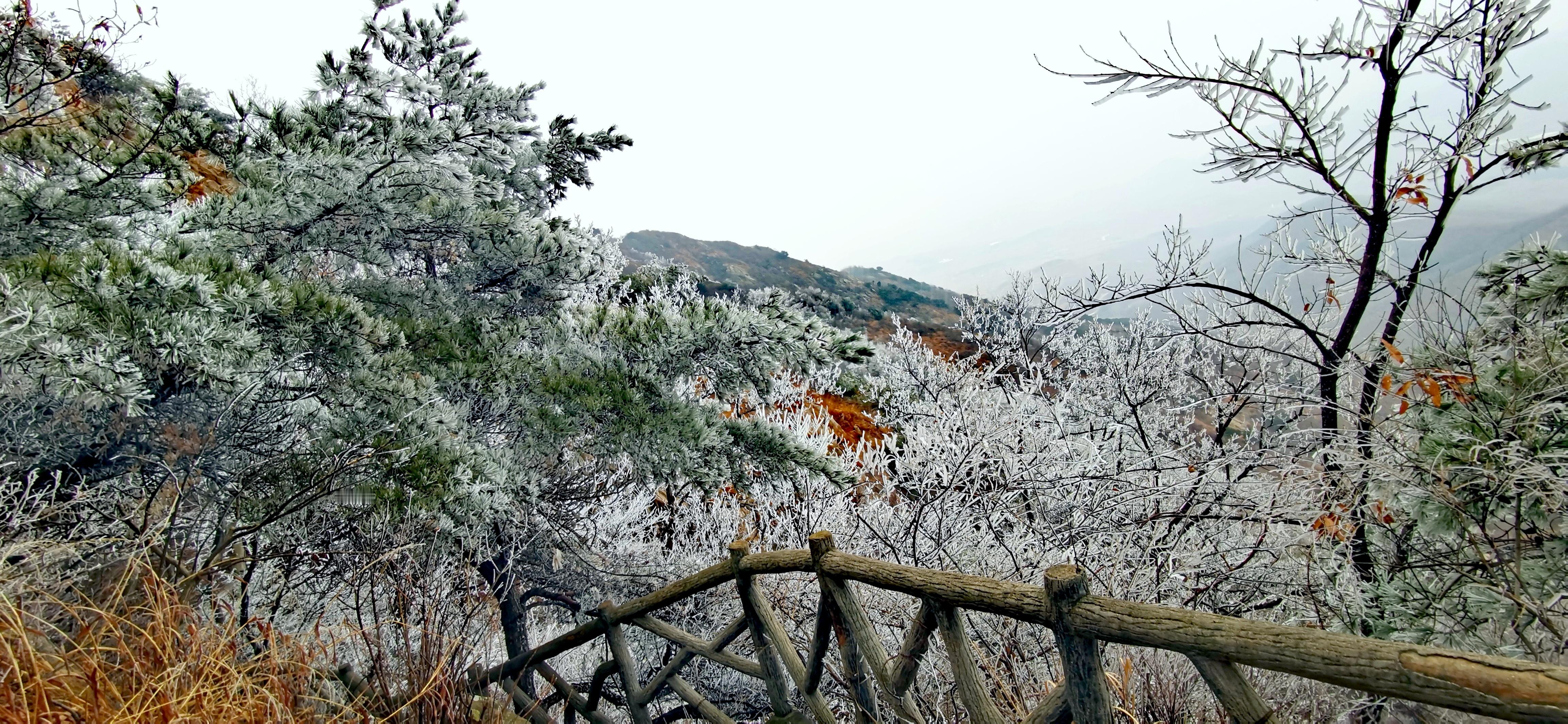 大年初四全国人民都挺忙  正月初四的大青山美到极致  正月初四前往山东大青山游玩